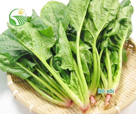 Spinach