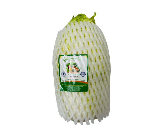 Cabbage Dalat