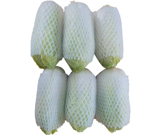 Cabbage Dalat