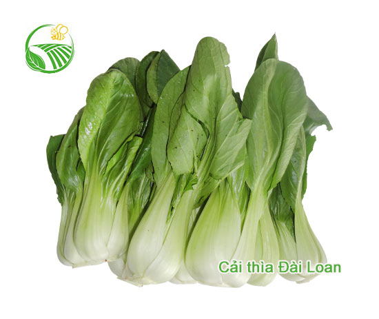 Bok Choy