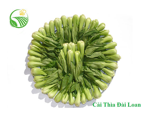 Bok Choy