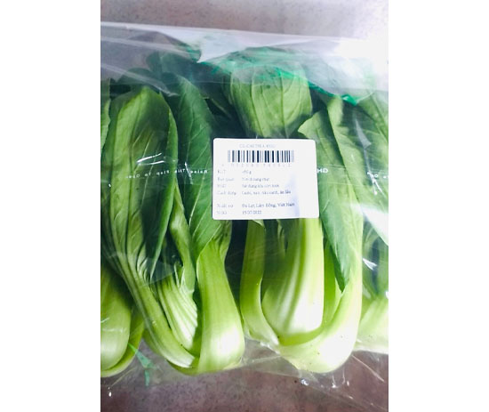 Bok Choy