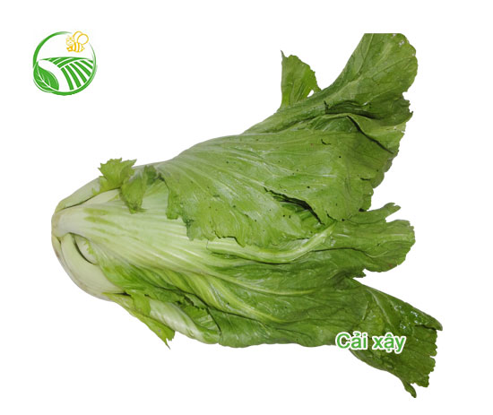 Mustard Green