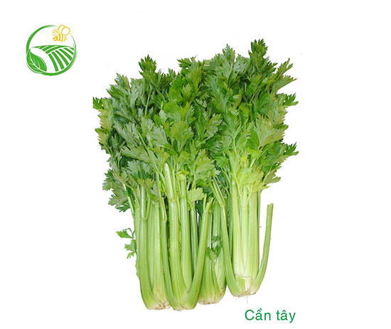 Celery