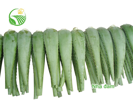 Nha Đam