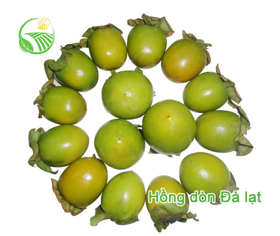 Hồng Dòn