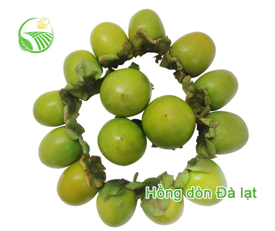 Hồng Dòn